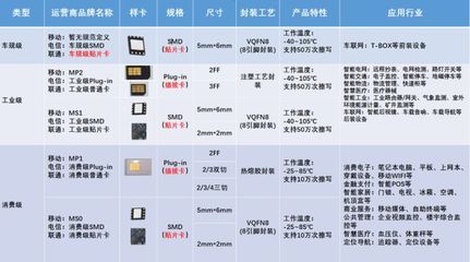 千尋信息攜物聯網通信數字化解決方案亮相IOTE上海物聯網展