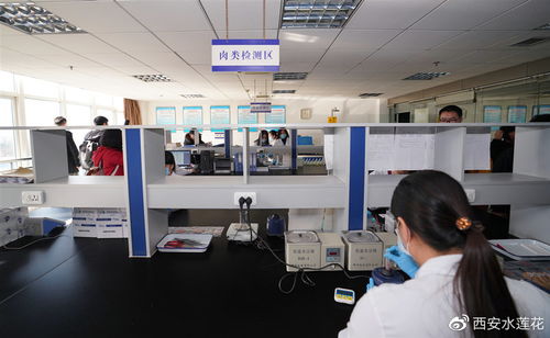 物聯網技術護航西部欣橋物流中心，西安春節“菜籃子”供應穩定充足